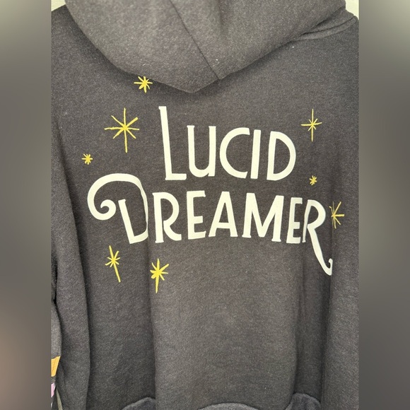 Wildfox Lucid Dreamer Theo Hoodie Sweatshirt Large - Picture 8 of 11
